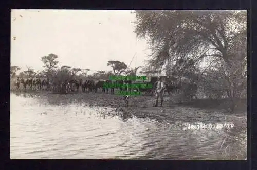 125285 AK DSW Windhuk Steinhausen Wasserstelle Ochsengespann Fotokarte Verlag R.