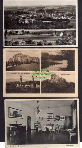 121428 3 Ansichtskarte Sanatorium Birkenhof bei Greiffenberg Schlesien 1930 Fotokarte Park