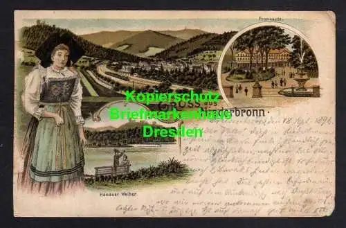 119369 Ansichtskarte Niederbronn Litho 1898 Hahnauer Weiher Frau Tracht Elsass