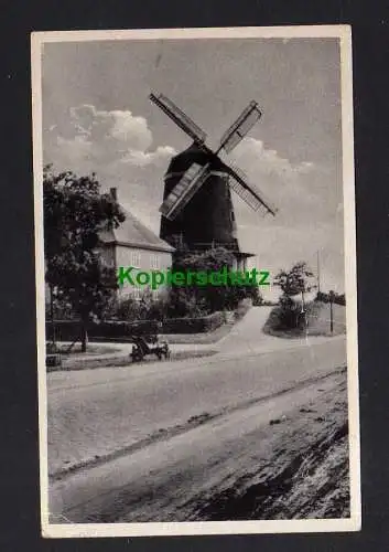 114121 Ansichtskarte Woldegk Mecklenburg Windmühle 1957