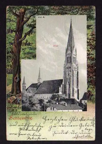 103926 AK Schleswig Dom Vollbild 1905