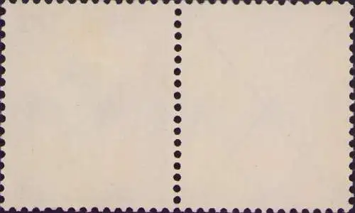 3482 DR Zdr. Zusammendruck Luftpost 1926 W 21.1 *