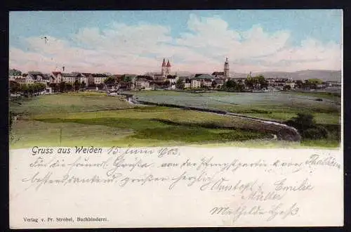 74660 Ansichtskarte Weiden Panorama 1903