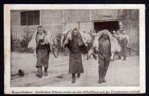 67360 Ansichtskarte Korpsschlächterei Schlachthof Schweine 1916