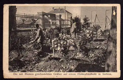 63962 Ansichtskarte Serbien Heldenfriedhof Grab Gräber 1917 Feldpost
