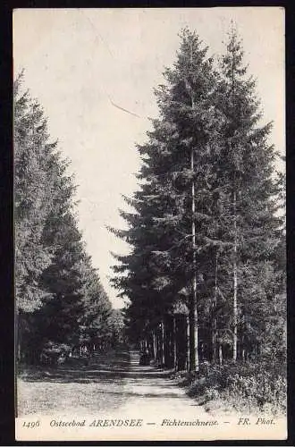 61603 Ansichtskarte Ostseebad Arendsee Fichtenschneise 1918