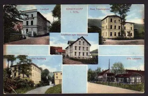 53551 Ansichtskarte Görbersdorf Schlesien Landhaus Storchberg Landlust 1913