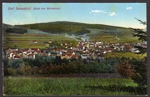 43136 Ansichtskarte Bad Salzschlirf Marienlust 1913