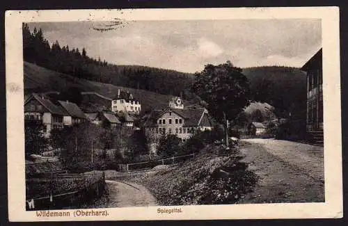 43454 Ansichtskarte Wildemann Spiegeltal 1924