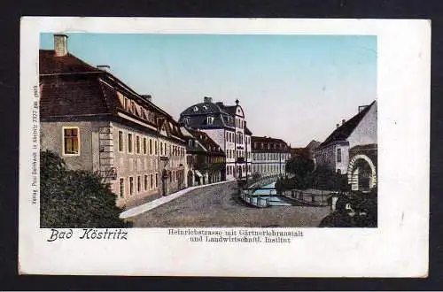 101227 AK Bad Köstritz Heinrichstrasse Gärtnerlehranstalt Landw. Institut 1904