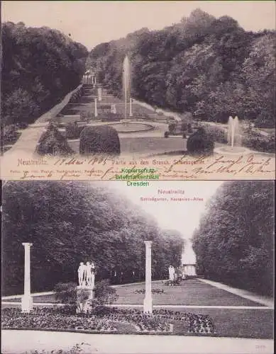 160685 2 Ansichtskarte Neustrelitz 1905 Partie aus dem Großh. Schlossgarten Kastanien-Allee