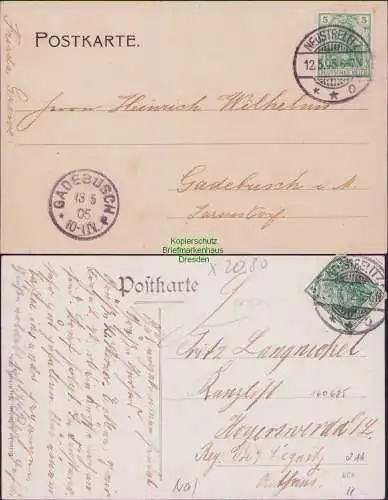 160685 2 AK Neustrelitz 1905 Partie aus dem Großh. Schlossgarten Kastanien-Allee