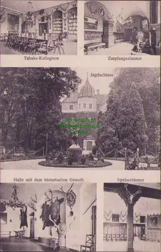 160707 AK Königs - Wusterhausen um 1910 Tabaks-Kollegium Jagdschloss Geweih