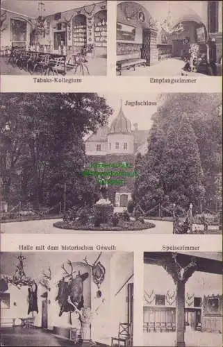 160707 Ansichtskarte Königs - Wusterhausen um 1910 Tabaks-Kollegium Jagdschloss Geweih