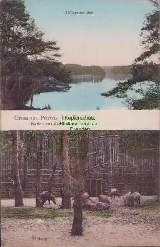160709 Ansichtskarte Prieros Bez Potsdam 1911 Hölzerner See Partien aus der Dubrow Saufang