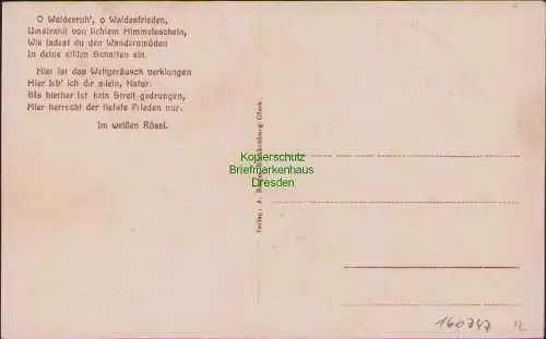 160747 AK Gasthof Weissen Rössl Neuwerk a. d. Bode um 1920