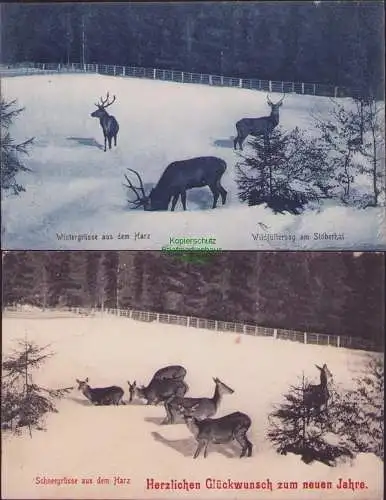 160758 2 AK Wintergrüsse aus d. Harz 1909 Wildfütterung am Stöberhai Rehe Schnee