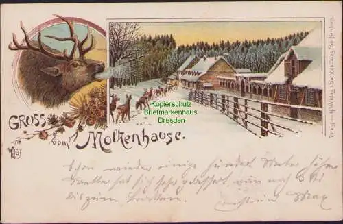 160541 AK Molkenhaus Bad Harzburg 1894 Winterlitho