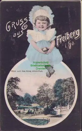 160536 Ansichtskarte GRUSS aus Freiberg i. Sa. Blick nach dem König Albert-Park 1907