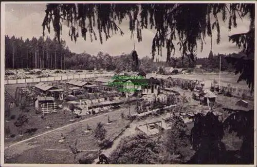 160362 AK Pelztierfarm Saaletallperre Isabellengrün m Tierpark Silberfuchspelzen