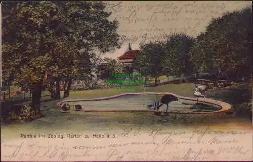 160376 Ansichtskarte Parthie im Zoolog. Garten zu Halle a. S. 1903 nach Nachterstedt