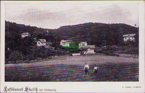 160462 AK Luftkurort Skalitz bei Leitmeriz um 1920