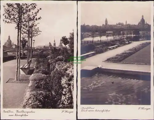 160522 2 AK Dresden Staudengarten am Königsufer Echte Photographie um 1935