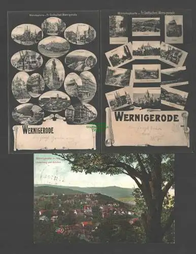 138440 3 Ansichtskarte Wernigerode Mikroskopkarte um 1905 Fr. Gottsched Lindenberg