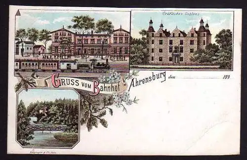 81790 AK Ahrensburg Litho Gruss vom Bahnhof Gräfl. Schloss  um 1900