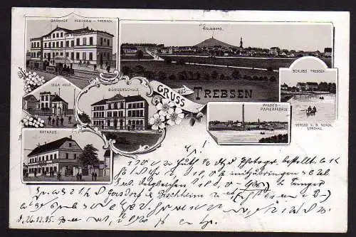 81598 AK Trebsen Mulde Papierfabrik Bahnhof Rathaus Bürgerschule 1895