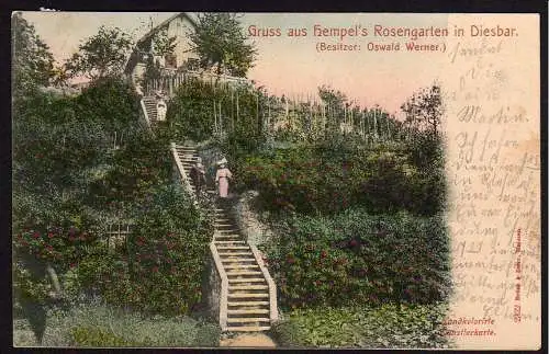 36700 Diesbar Hempels Rosengarten 1904 Verlag Brück & Sohn 2322