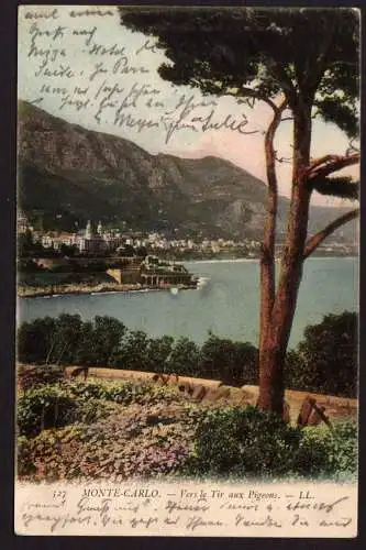 36793 Ansichtskarte Monte Carlo 1904 Vers le Tir aux Pigeons
