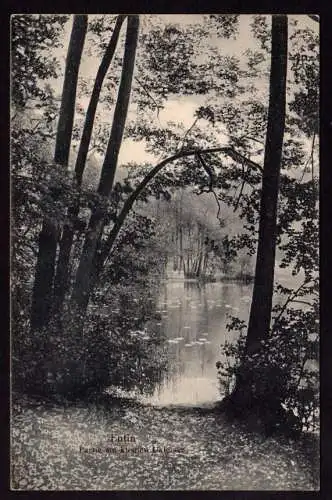 36174 AK Eutin Kl. Ukleisee Bahnpost Kiel Lübeck 1914