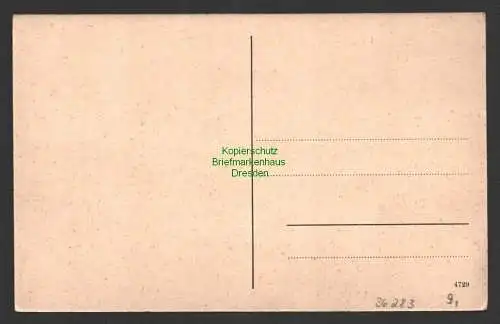 36283 AK Wiek Rügen Gesamtansicht Straße um 1925