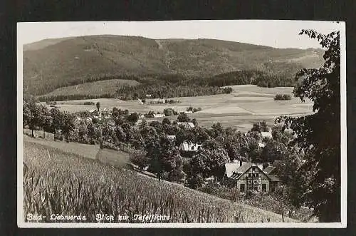 21622 AK Bad Liebwerda Blick zur Tafelfichte Haindorf 1928 Verl. Krause Haindorf