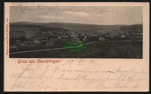 150596 AK Treuchtlingen 1903 Panorama