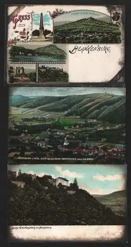 150235 3 Ansichtskarte Blankenburg Litho um 1900 Eberstein Greifenstein Denkmal