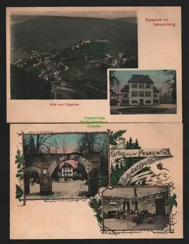 150232 2 Ansichtskarte Fasanerie bei Schwarzburg um 1910 Gasthaus Blick vom Trippstein