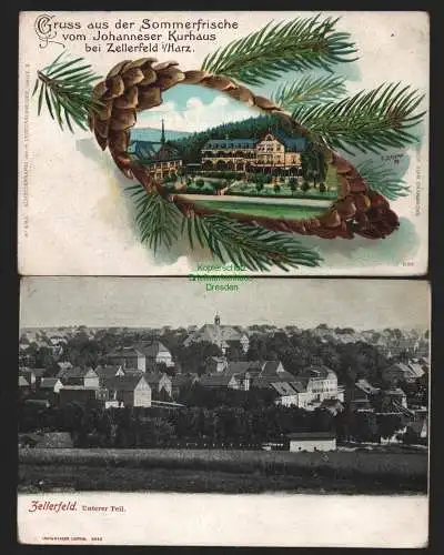 150238 2 Ansichtskarte Johanneser Kurhaus bei Zellerfeld Harz um 1900 Tannenzapfen-Litho