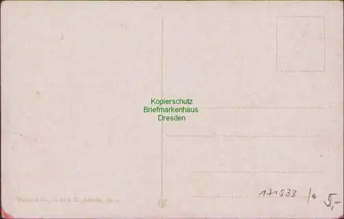171533 AK Wittenberg Bez. Halle Blick von der Stadtkirche um 1920