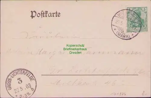 171374 AK Schloss Wiesenburg i. d. Mark 1903