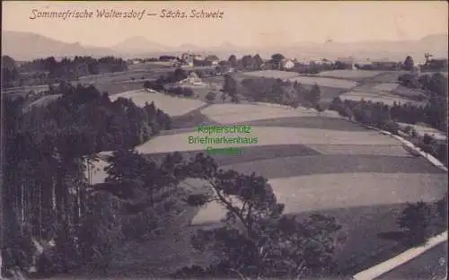 171294 AK Sommerfrische Waltersdorf - Sächs. Schweiz um 1915 1198 Kunstverlag