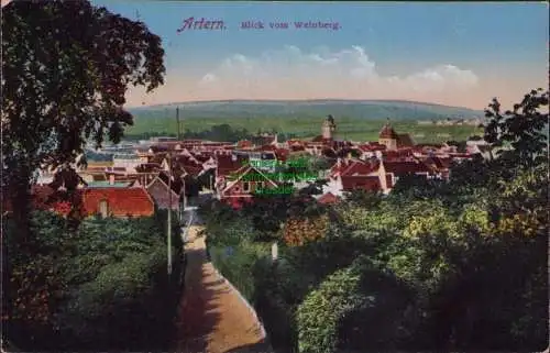 171259 AK Artern 1925 Blick vom Weinberg