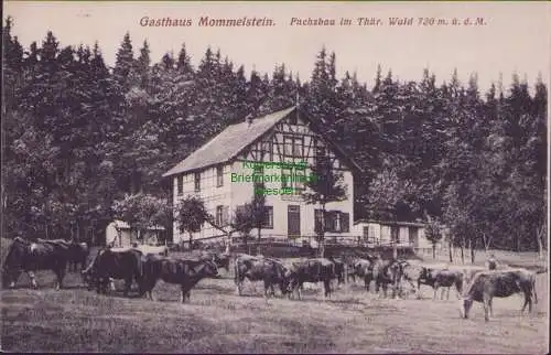 171232 AK Gasthaus Mommelstein 1914 Fuchsbau im Thür. Wald 730 m. i. d. M.