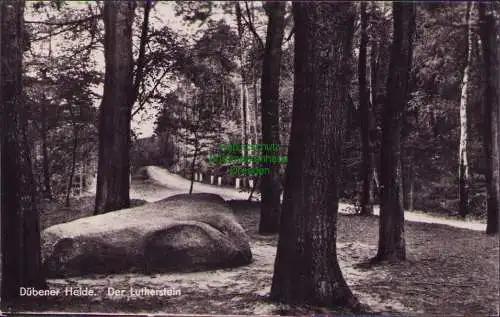 171161 AK Dübener Heide Der Lutherstein Bad Düben 1957