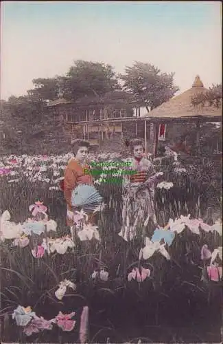 171084 AK Japan um 1910 2 Japanerinnen Iris Blumen Feld