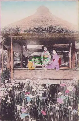 171083 AK Japan um 1910 3 Japanerinnen Iris Blumen