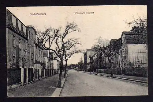 104321 AK Bischofswerda Neustädterstrasse um 1910