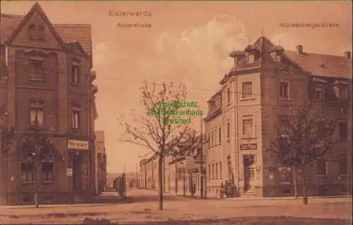 157701 AK Elsterwerda Ackerstraße Mückenbergerstraße 1916 Phönix Restaurant