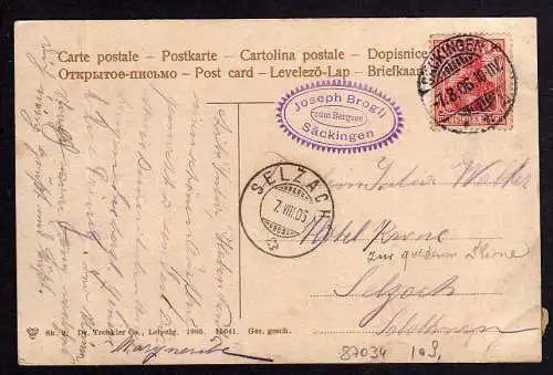 87034 AK Säckingen Waldsee Gondelteich Schwäne Seesteg 1906